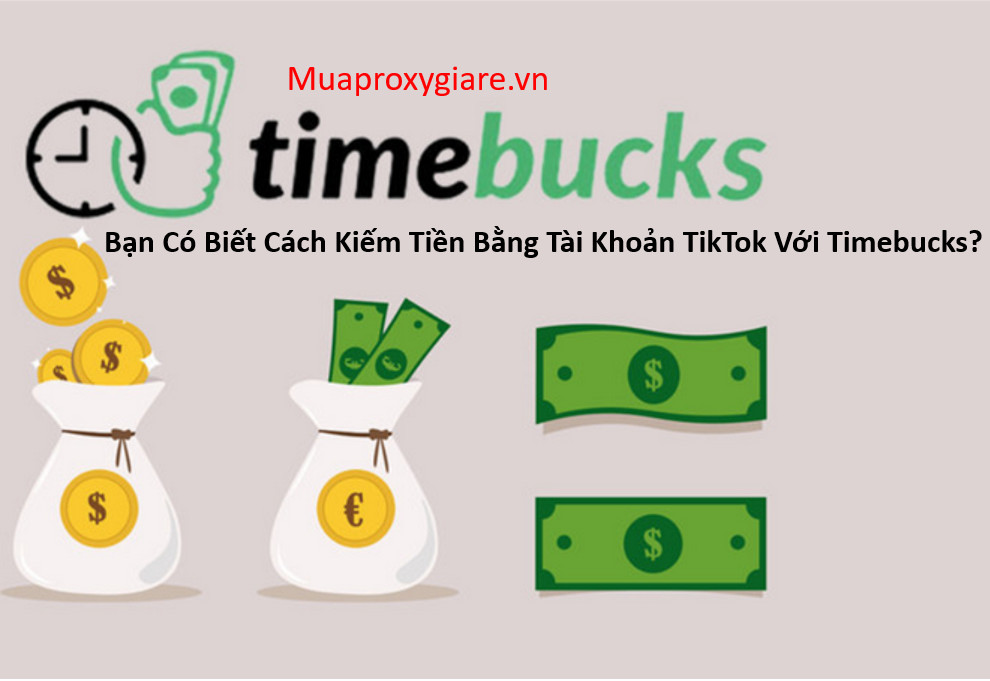 Bạn Có Biết Cách Kiếm Tiền Bằng Tài Khoản TikTok Với Timebucks?