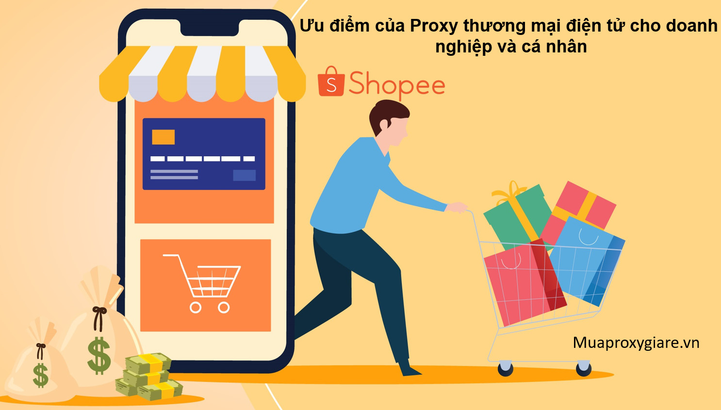 Ưu điểm của Proxy thương mại điện tử cho doanh nghiệp và cá nhân